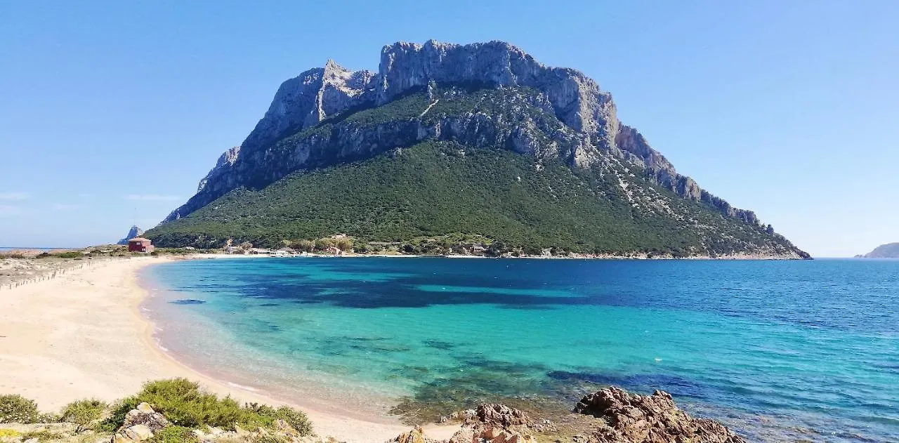 Iss Travel, Sa Chessa - Ground Floor 1-Bedroom Apartment San Teodoro   San Teodoro (Sardinia)